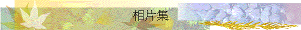 相片集