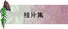 相片集